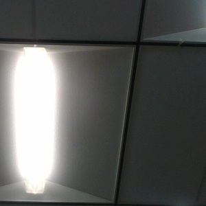 Meet your Posher, Stella